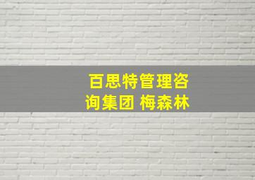 百思特管理咨询集团 梅森林